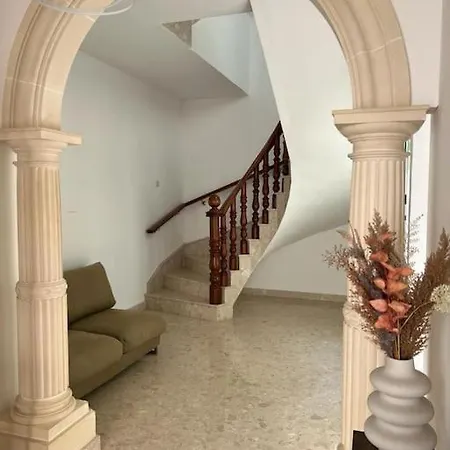 Daire Spacious House With Roof-terrace